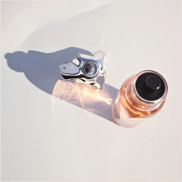 Louis Vuitton Stellar Times