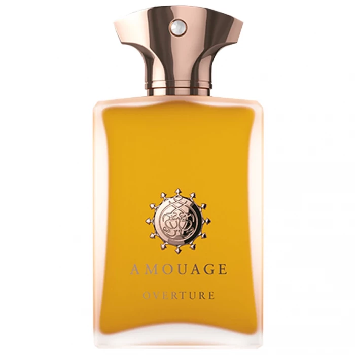 Мужские духи Amouage Overture Man