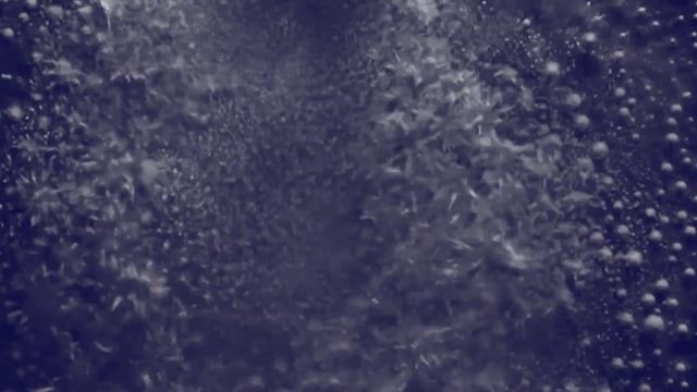 Парфюмерная вода Histoires De Parfums This Is Not A Blue Bottle 1.1 