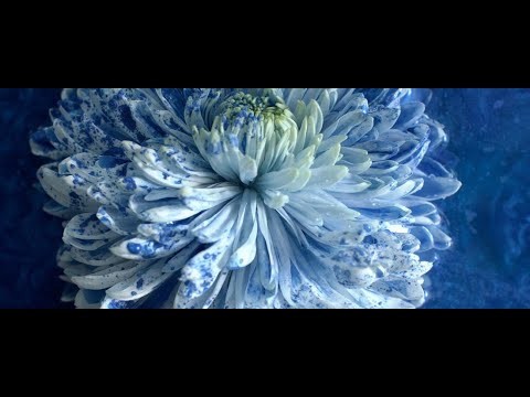 Парфюмерная вода Montale Blue Matcha 