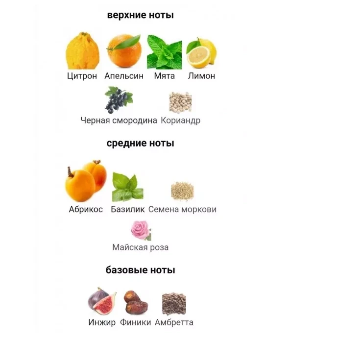 Louis Vuitton Pacific Chill